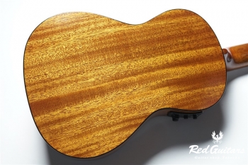 AM-T-E・KIYOSAKU #878